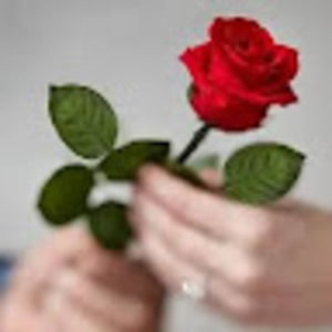 Meet your Posher, Vildana